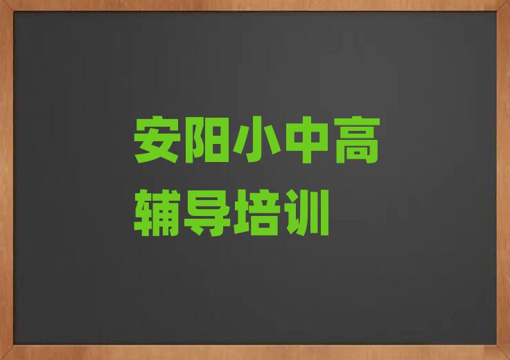 安阳龙安区哪学初中英语好