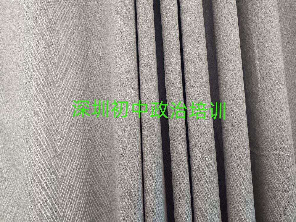 深圳罗湖区正规初中政治培训学校