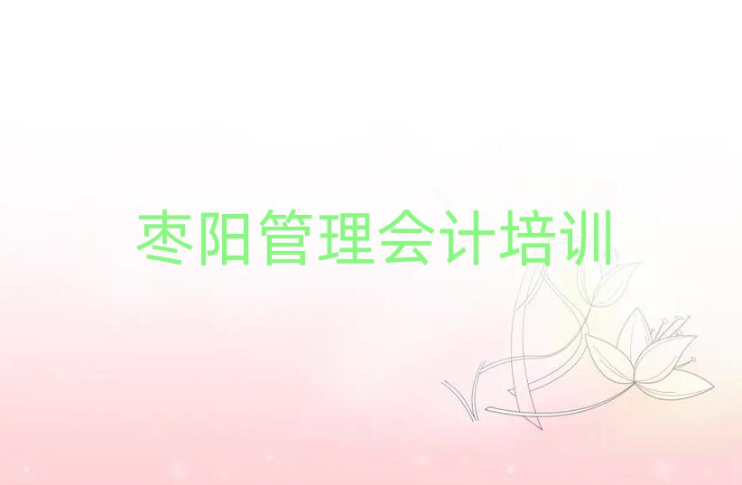 枣阳临安区管理会计线上培训