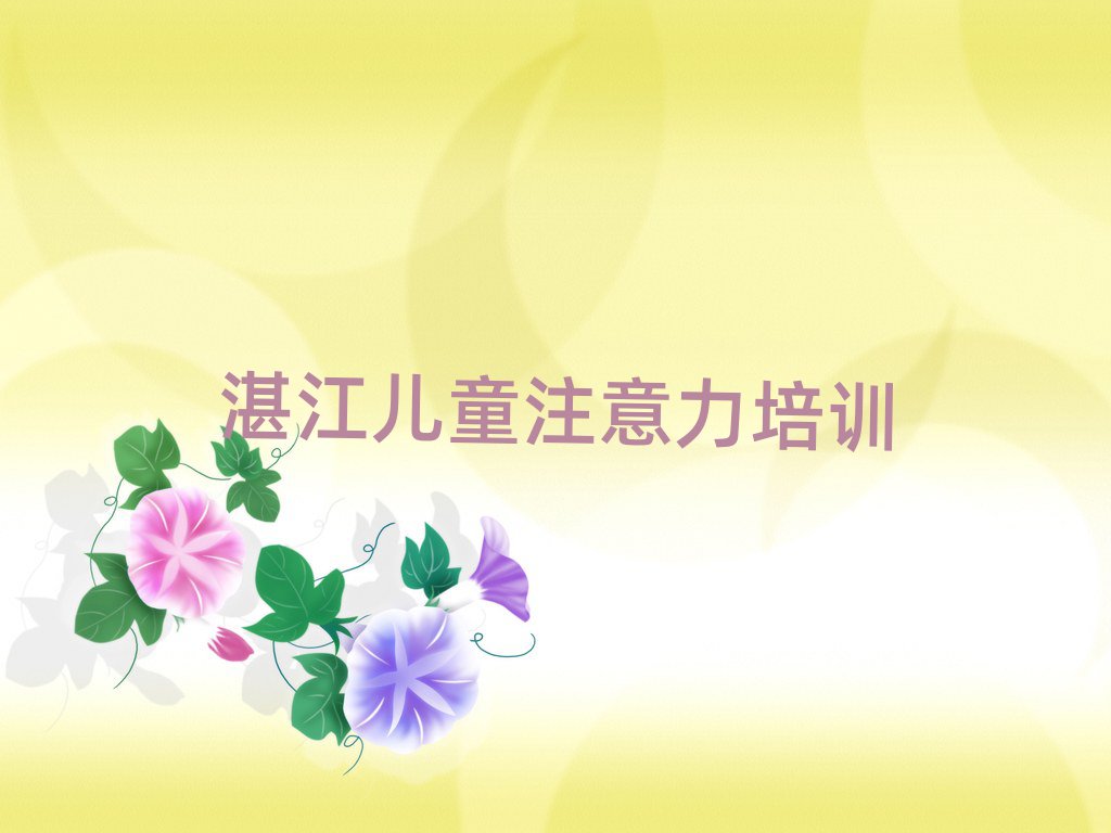 2025年湛江孩子记忆力在线学习班排名前十