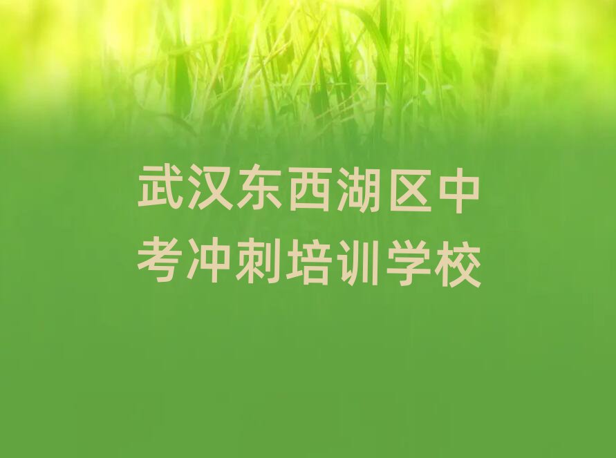 武汉东西湖区到哪里学中考冲刺精选名单排行榜汇总