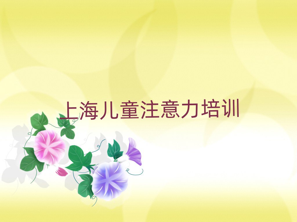 上海宝山区线上儿童注意力不集中培训