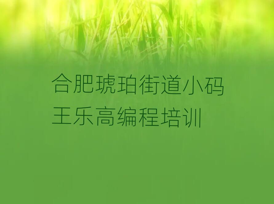 2026��Ϸ�����ֵ�С�����ָ߱����ѵ������ֵ���Ƽ�����������һ��