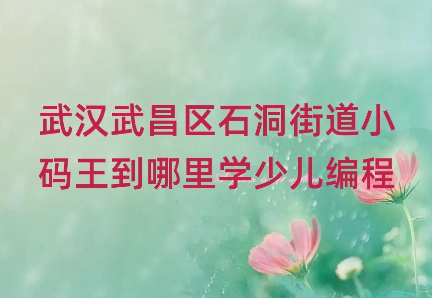 �人�����ʯ���ֵ�С����������ѧ�ٶ����