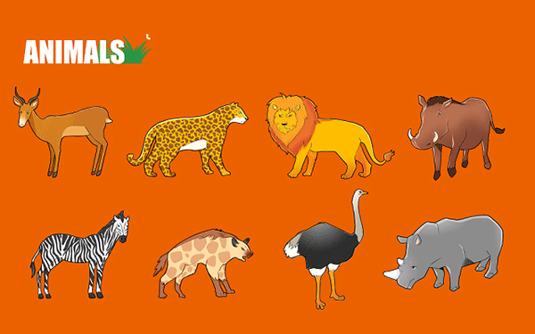 南昌从安公考机构电话