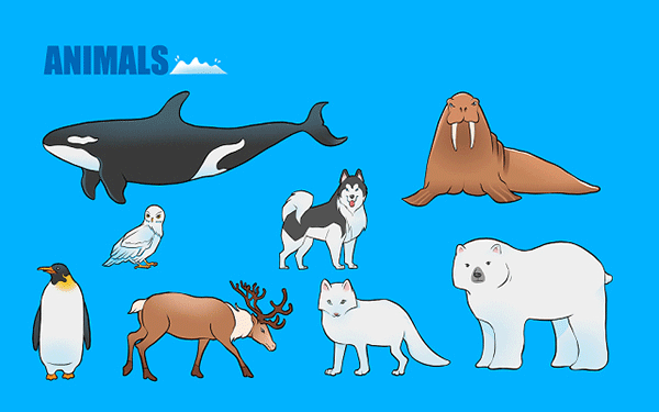 河东公考面试培训班时间