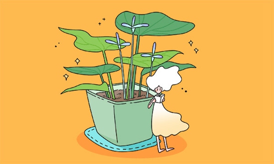 公考培训机构教师工资 公考培训机构教师工资