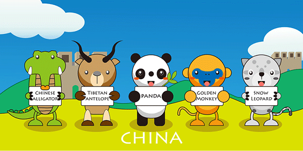 985人文实验班保研