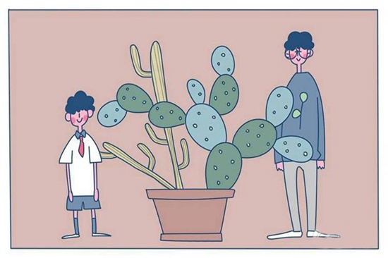 辽宁保研培训 辽宁保研培训