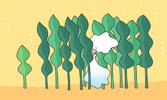 郑州大学保研班待遇 郑州大学保研班待遇